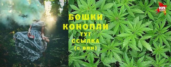 кокс Вяземский