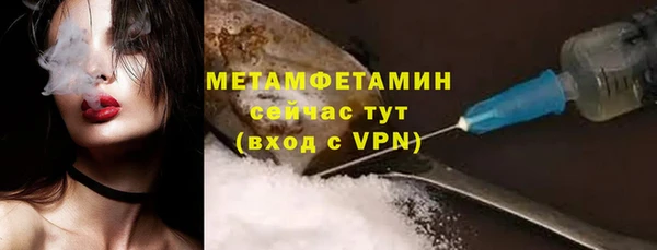 прущие грибы Горно-Алтайск