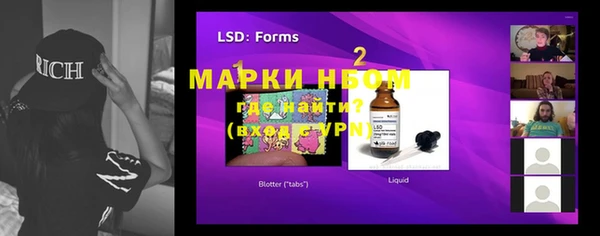 прущие грибы Горно-Алтайск