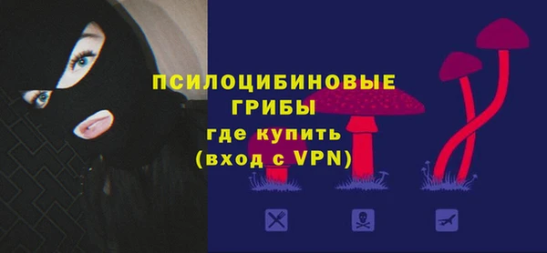 кокс Вяземский