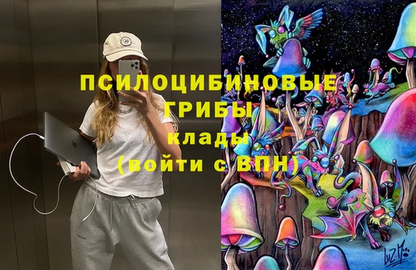 кокс Вяземский