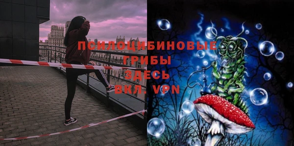 кристаллы Горнозаводск