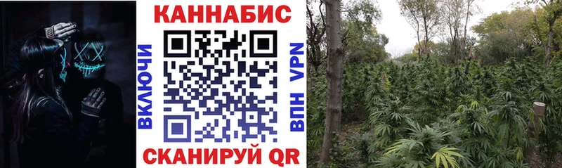 Каннабис ГИДРОПОН  OMG ссылка  Емва 